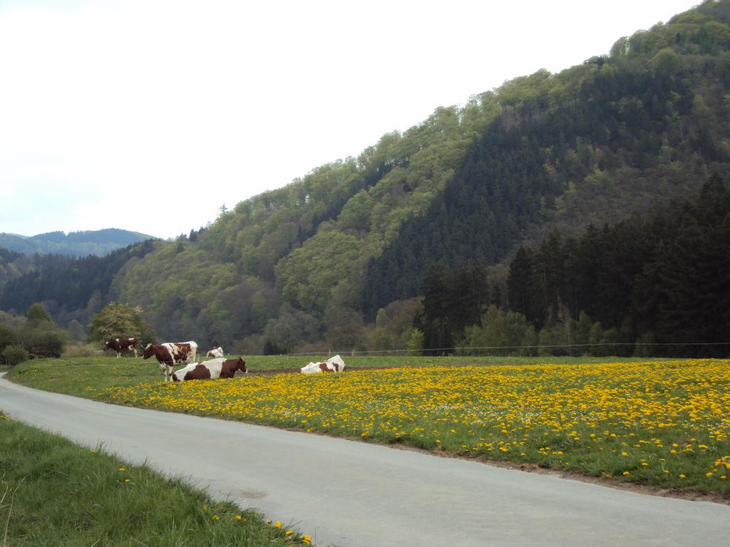 Gasthof Zum Diemeltal Marsberg Kültér fotó