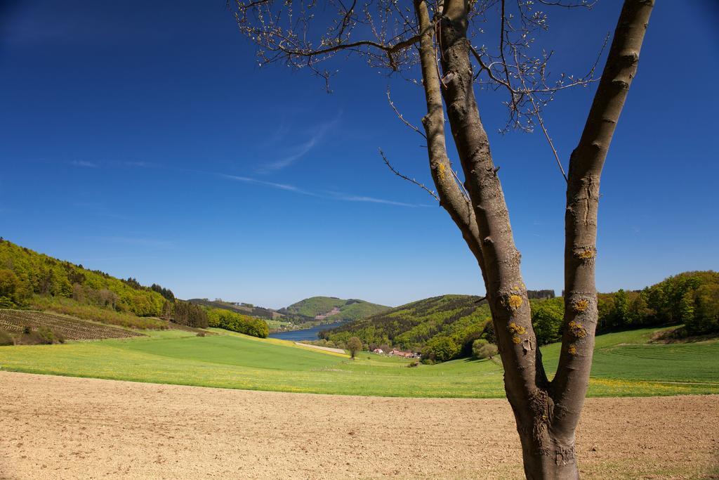 Gasthof Zum Diemeltal Marsberg Kültér fotó